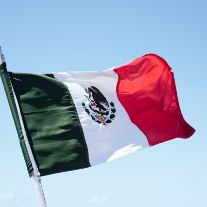 Mexican Flag